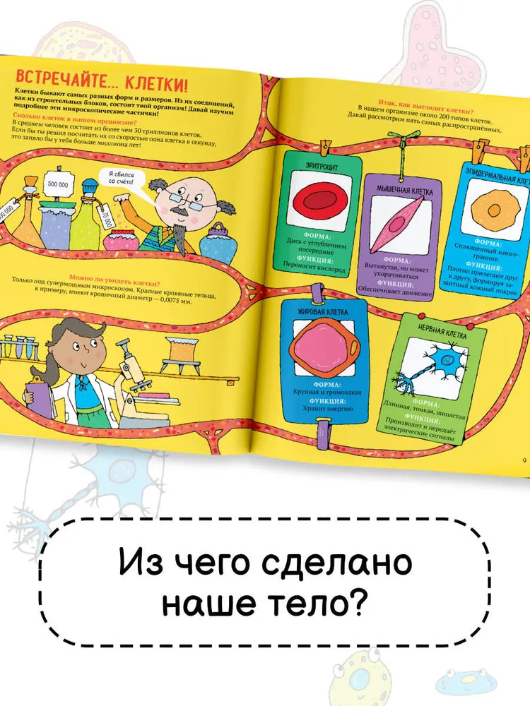 Тело человека. Энциклопедия для детей