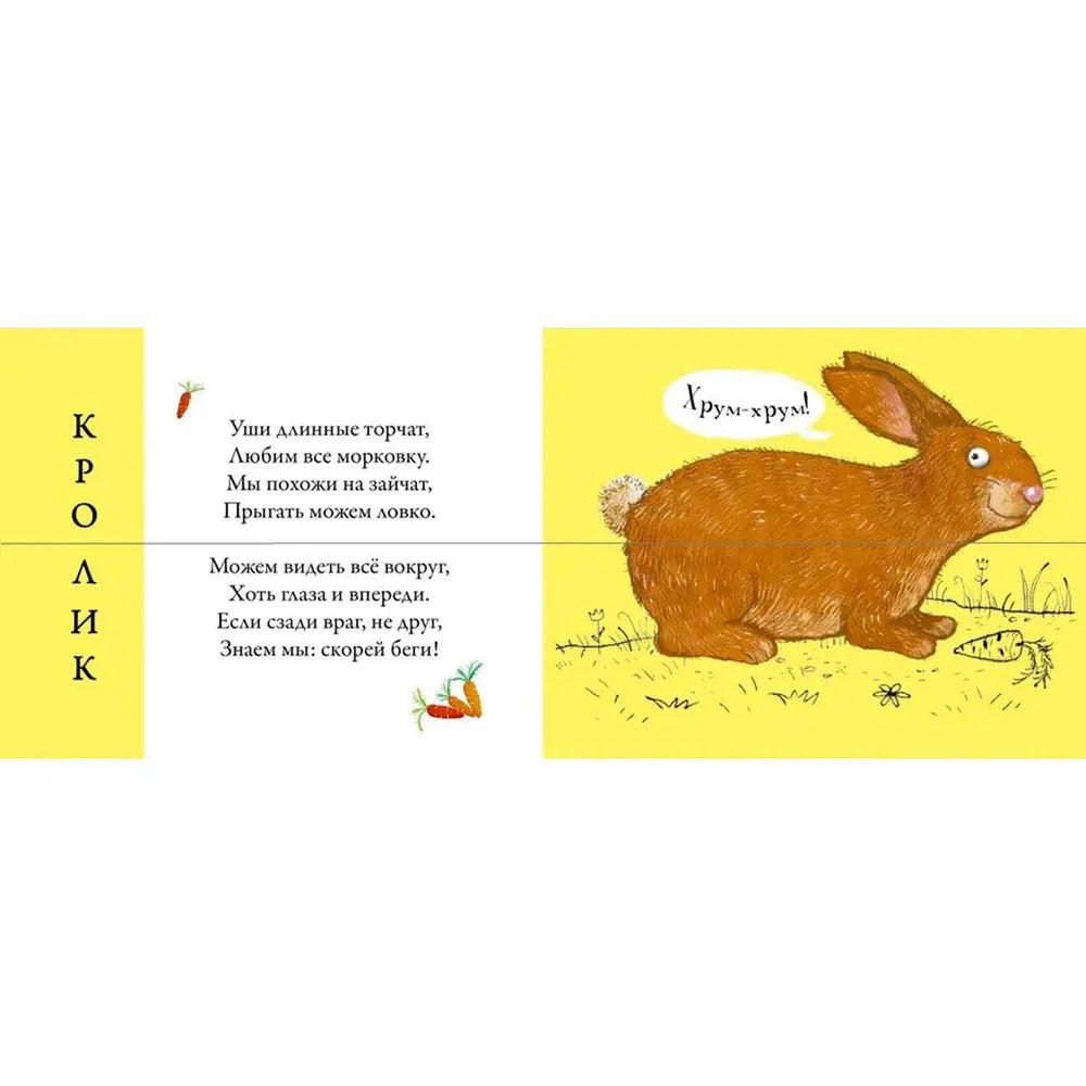 Перевертыши. Домашние животные. Картинки - половинки