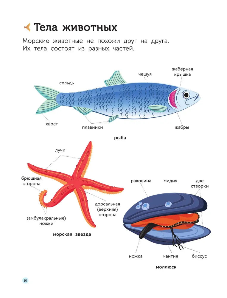 Подводный мир