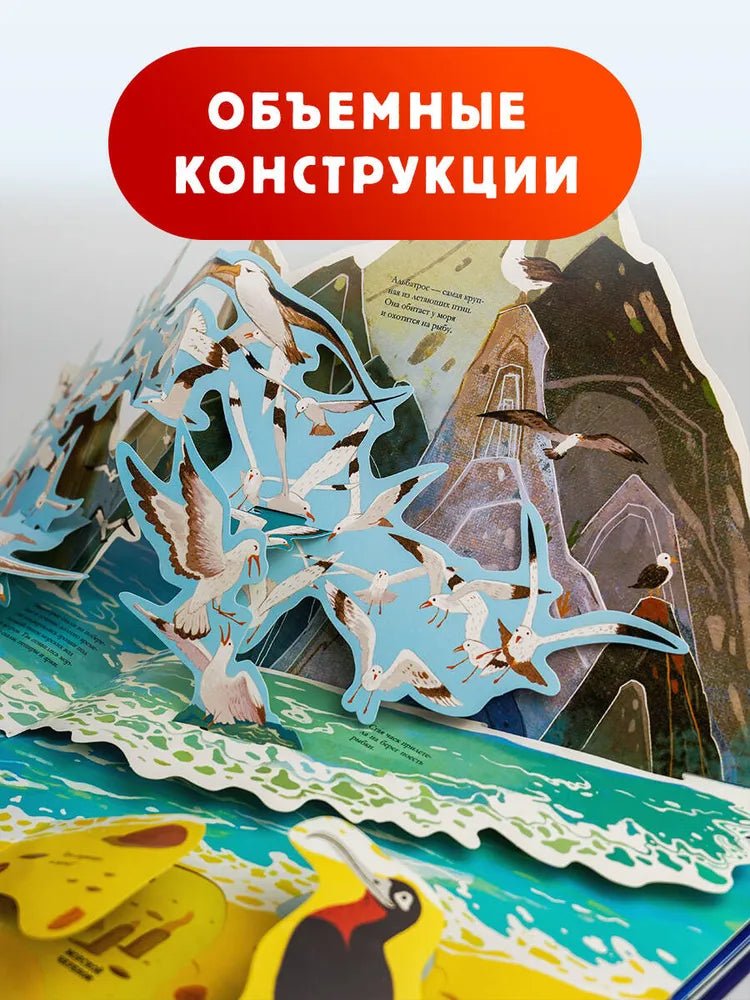 Подводный мир / 3D