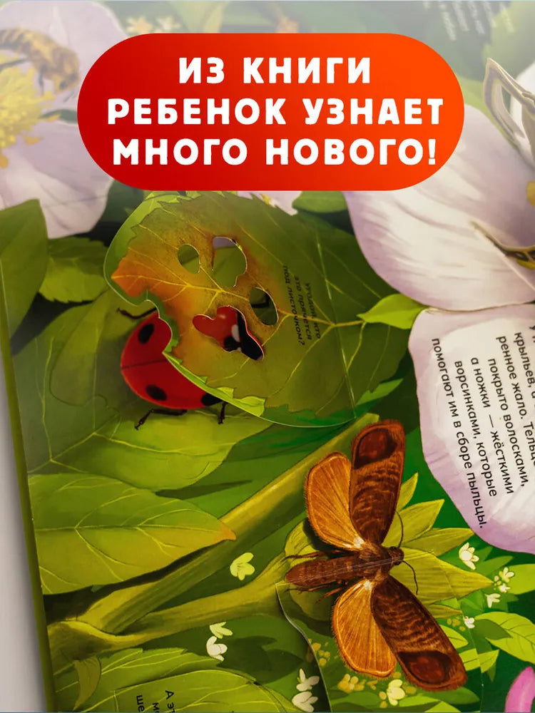 Насекомые / 3D