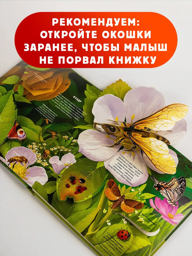 Насекомые / 3D