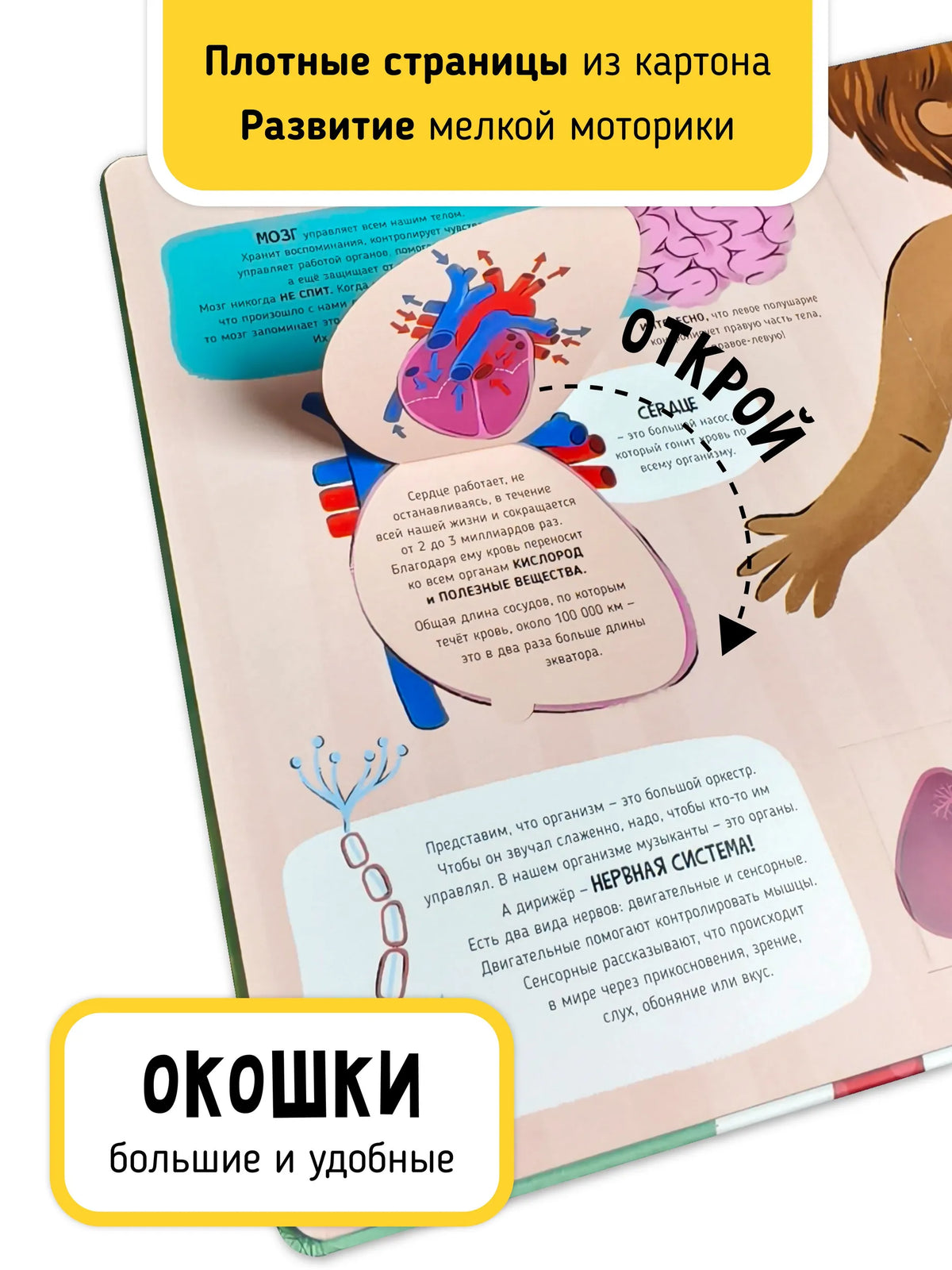 Как это работает?– Мои первые открытия. Книга