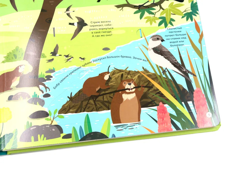 Животные и птицы