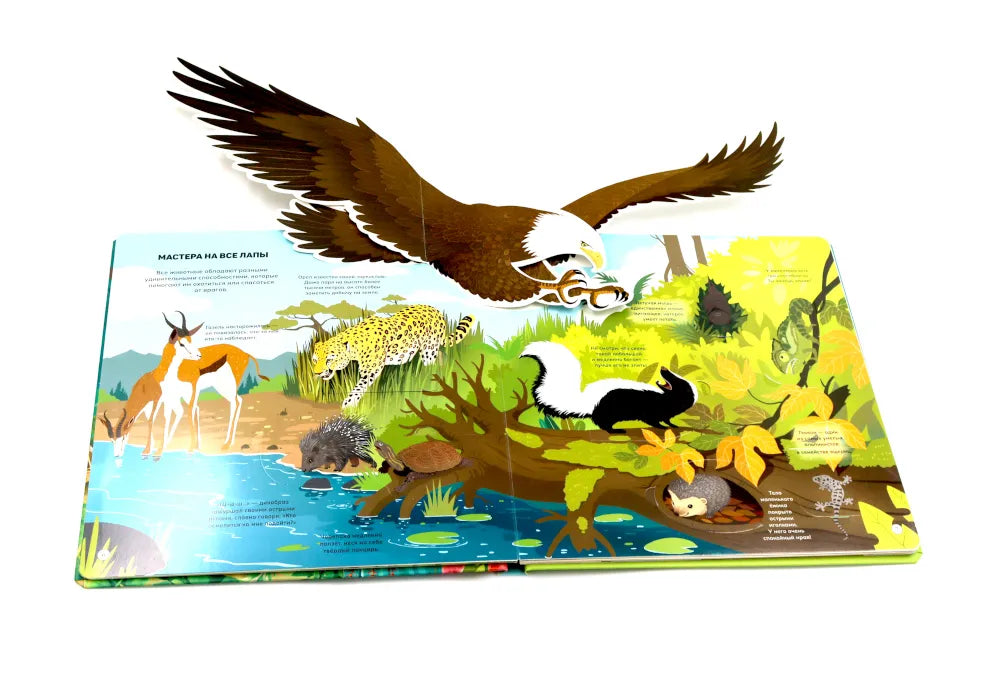 Животные и птицы