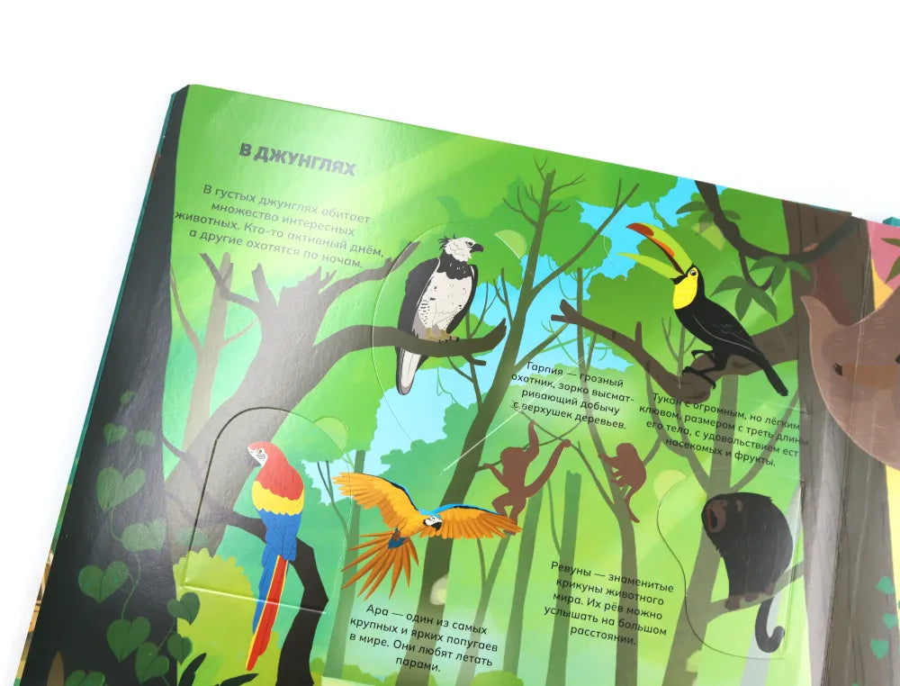 Животные и птицы