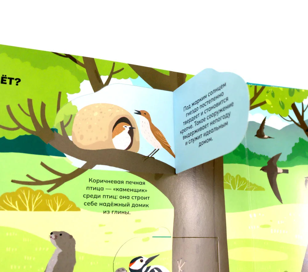 Животные и птицы