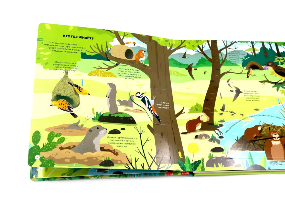 Животные и птицы