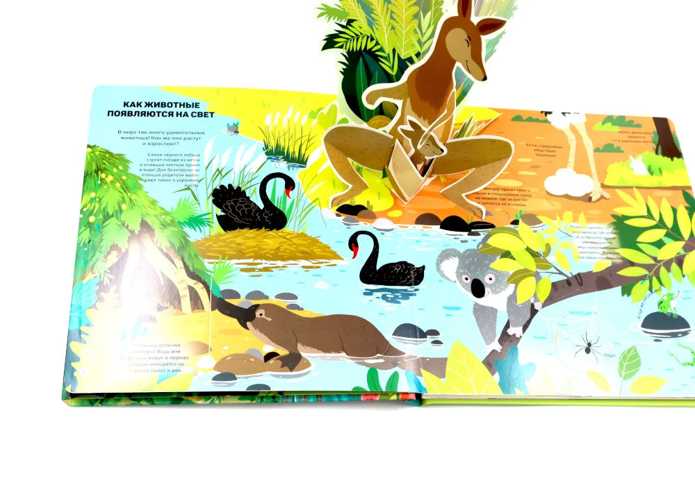 Животные и птицы