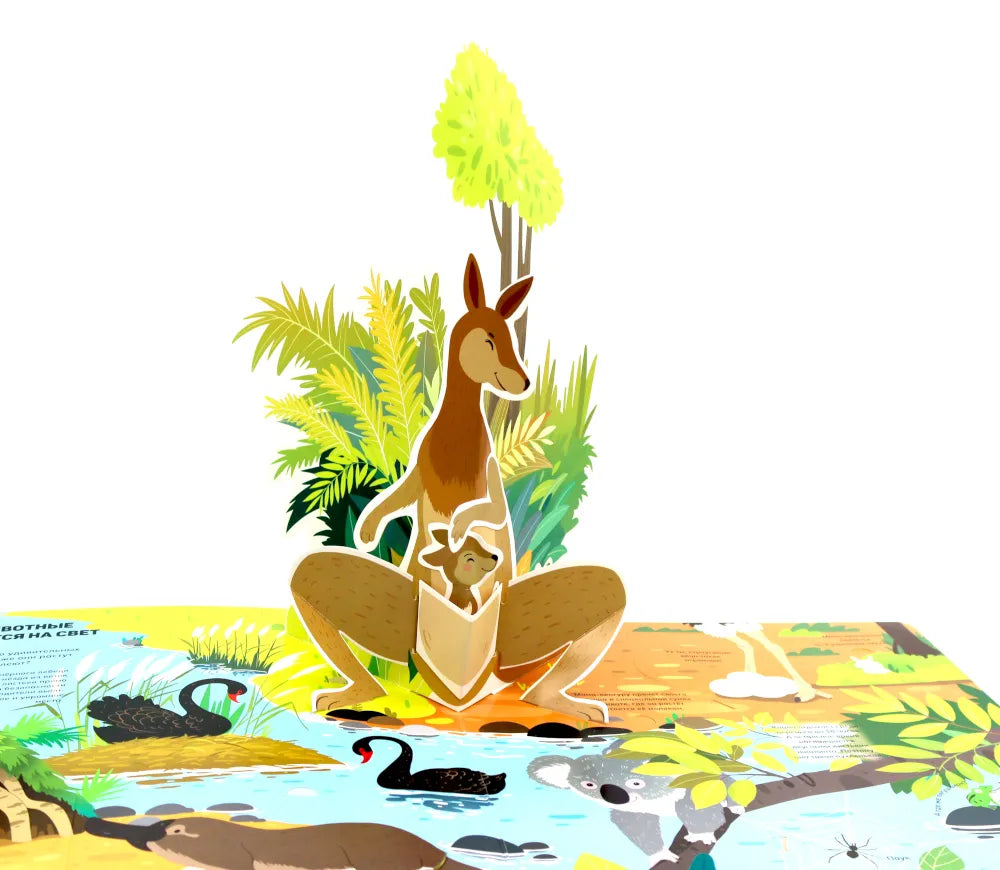 Животные и птицы