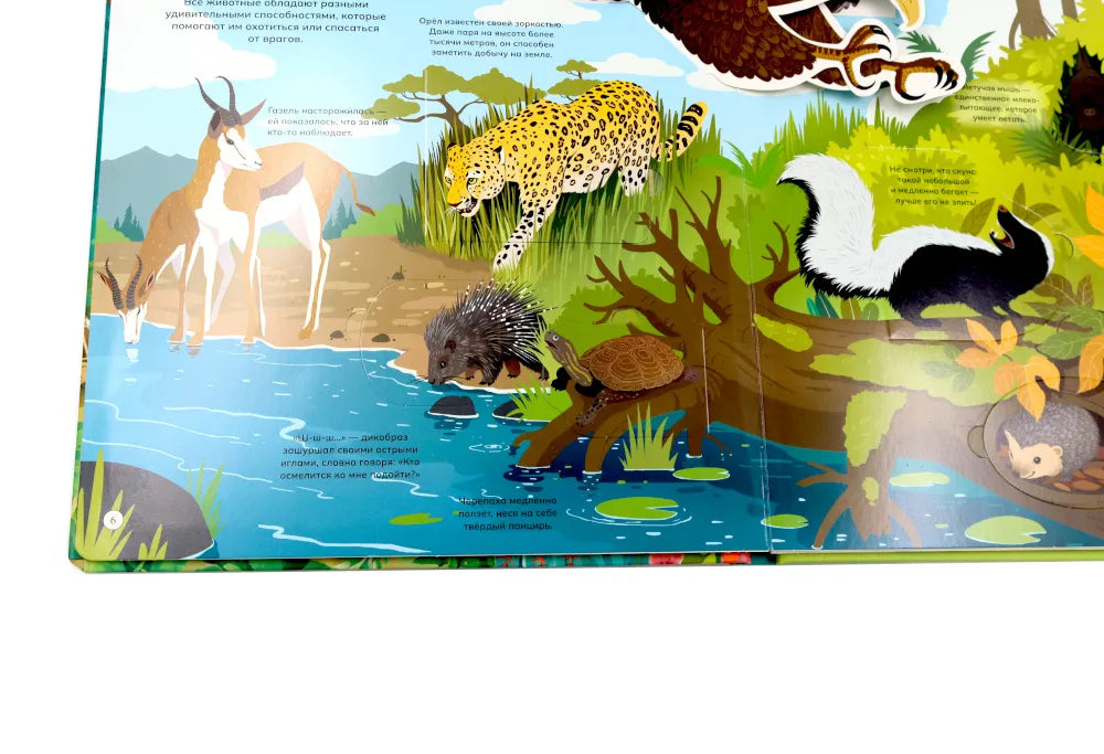 Животные и птицы