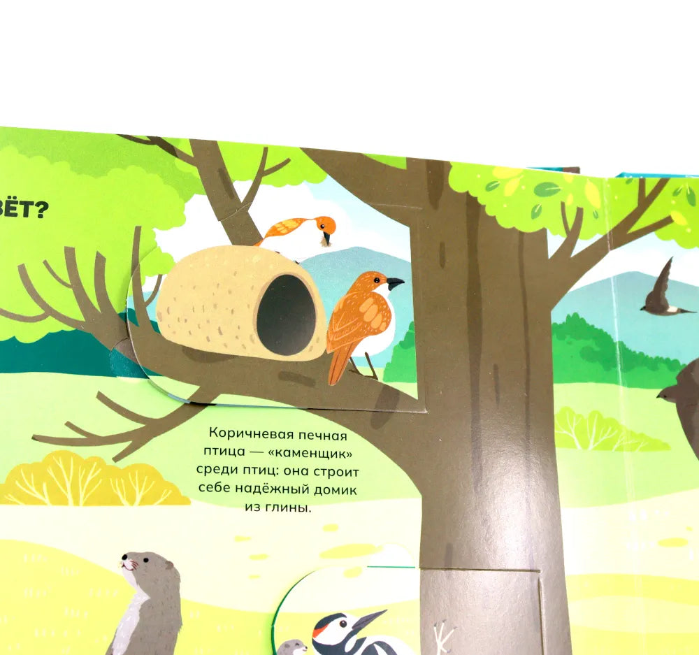 Животные и птицы