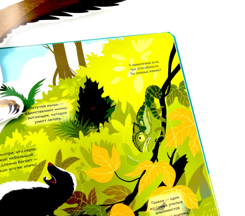 Животные и птицы