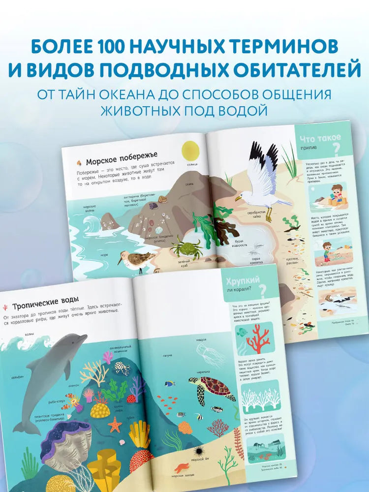 Подводный мир