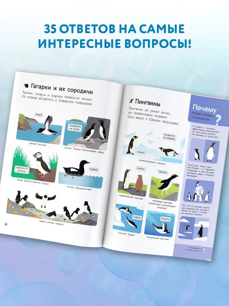 Подводный мир