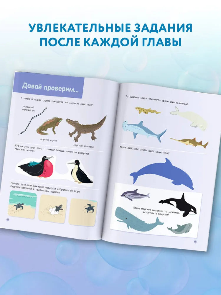 Подводный мир