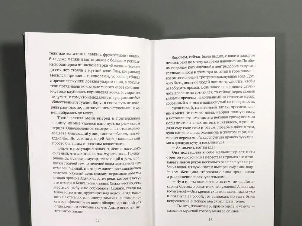 Вековая грязь