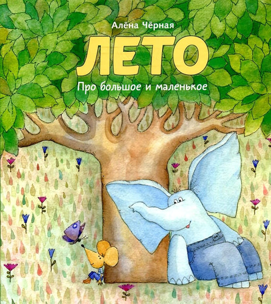 Leto: knijka-kartinka cover image