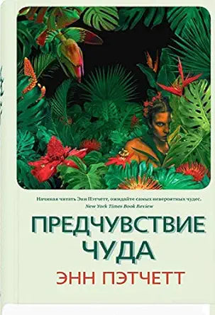 Predchyvstvie chyda (plenka) cover image