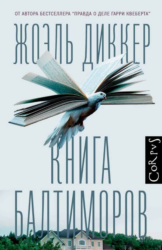 Kniga Baltimorov cover image