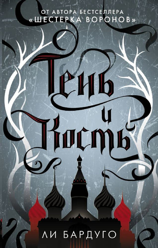 Ten' i kost' cover image