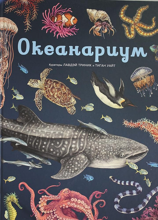 Okeanariym cover image