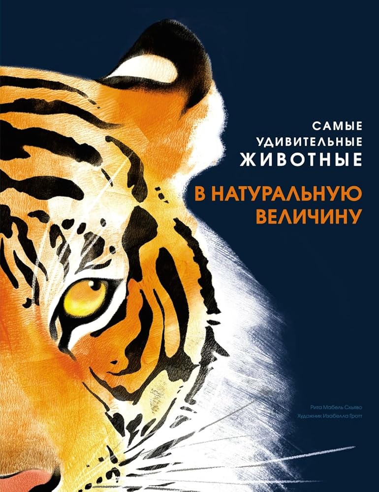 Samye udivitelnye zhivotnye v naturalnuju velichinu cover image
