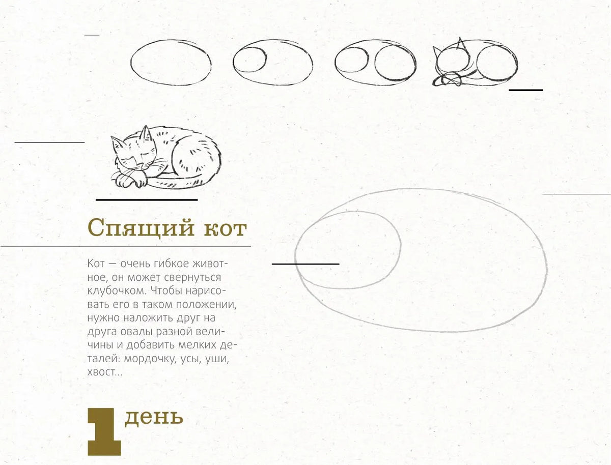 365 дней рисования. Пошаговые техники для начинающих художников
