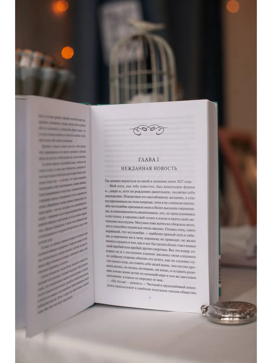 Незнакомка из Уайлдфелл-Холла. Вечные истории. Young Adult