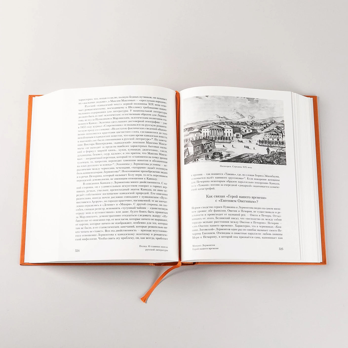 Полка: О главных книгах русской литературы [2 тома]