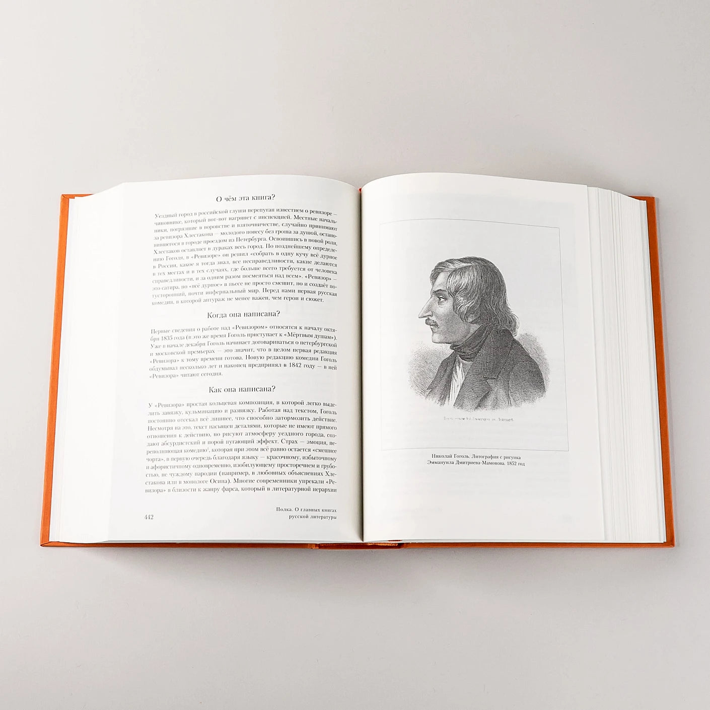 Полка: О главных книгах русской литературы [2 тома]