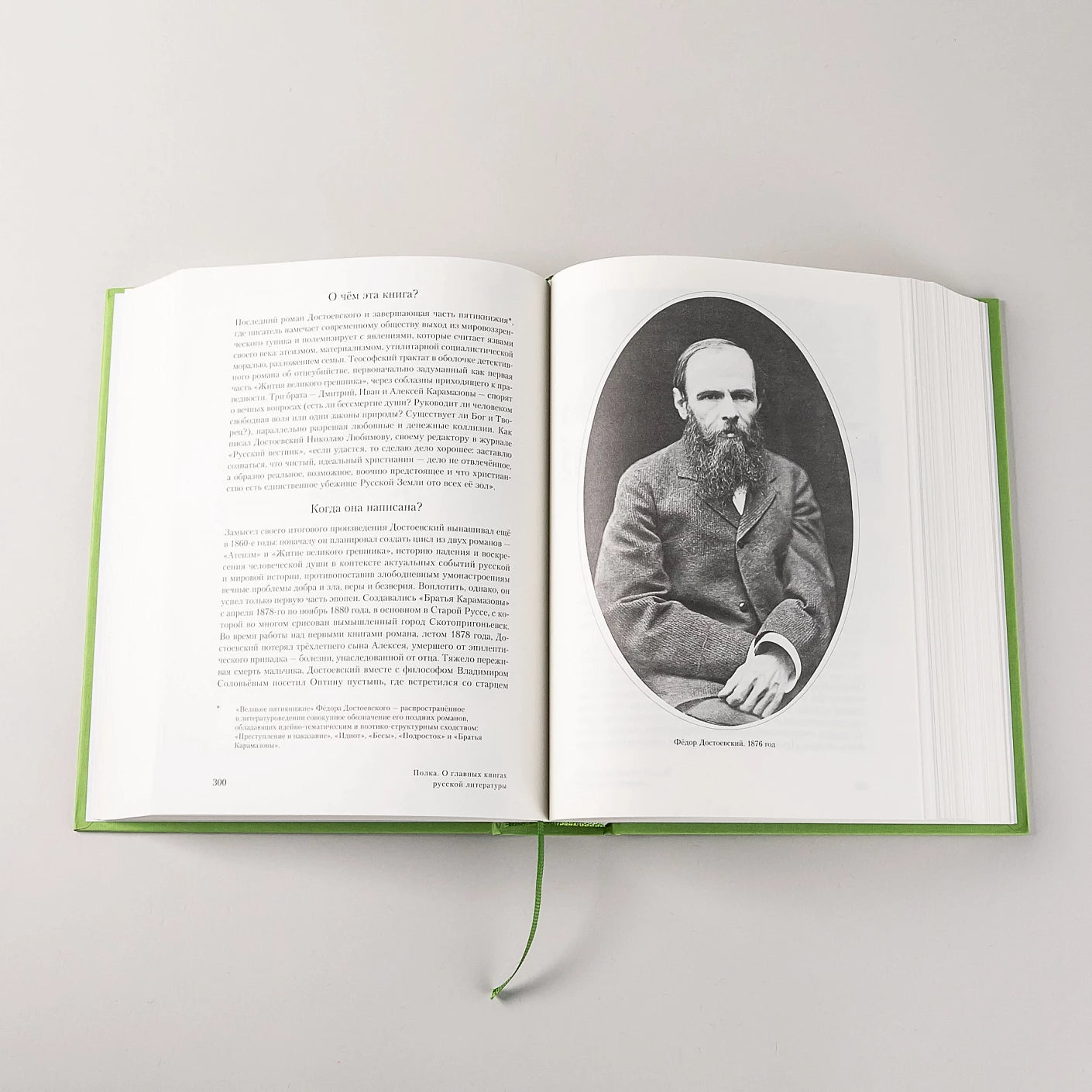 Полка: О главных книгах русской литературы [2 тома]