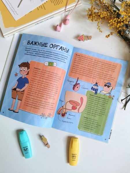 Мальчики взрослеют. Как меняется тело и настроение