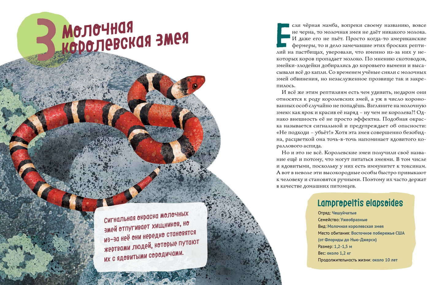 Змеи. Великолепная десятка / Михаил Лукашевич