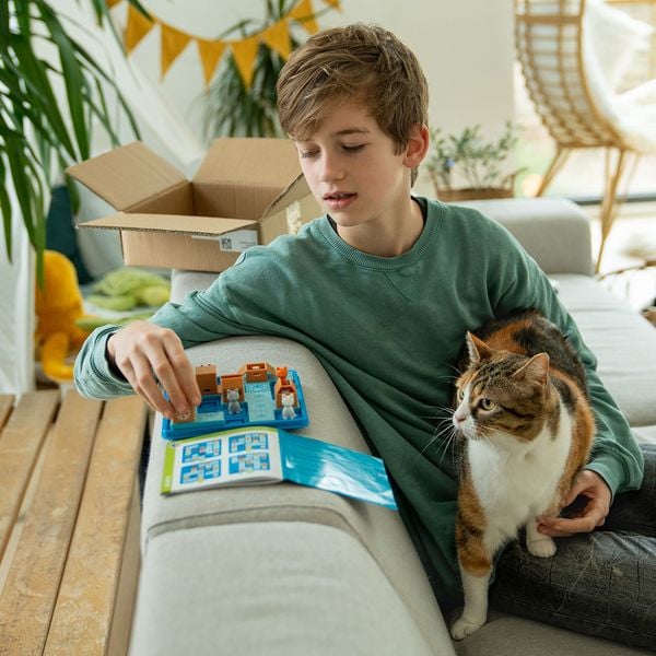Spiel Alles für die Katz!
