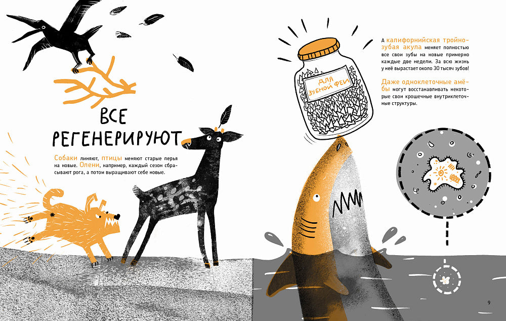 Микросупергерои. Самые-самые самовосстанавливающиеся!