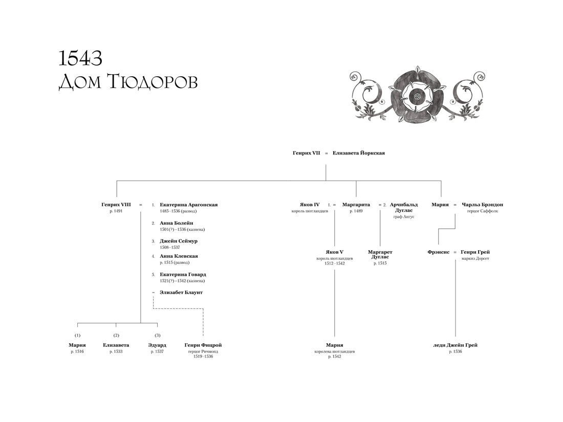 Шестая жена. Роман о Екатерине Парр / Уэйр Э
