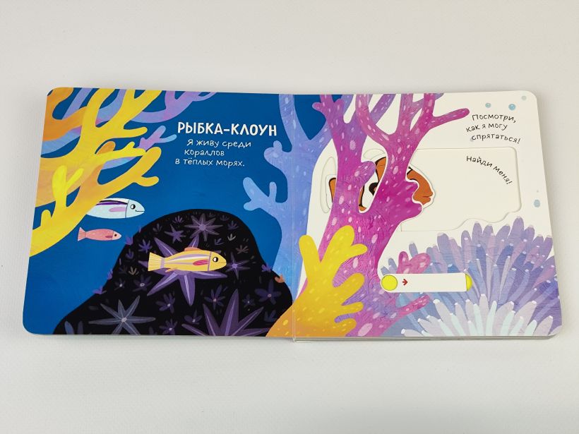 Смотрим, играем, запоминаем! В океане