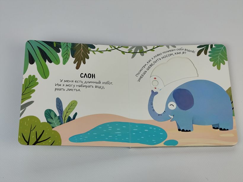 Смотрим, играем, запоминаем! В зоопарке