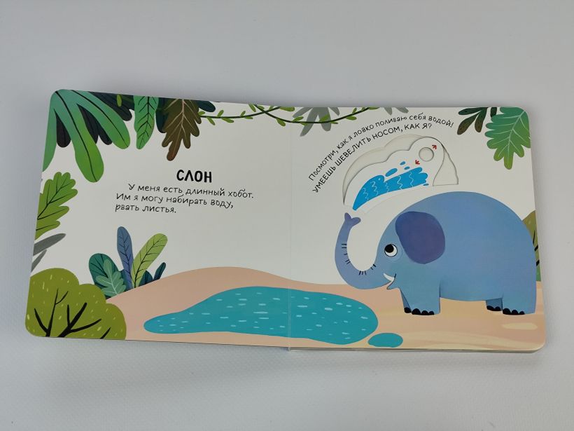 Смотрим, играем, запоминаем! В зоопарке