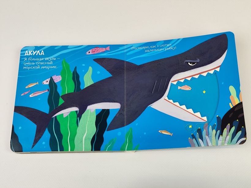 Смотрим, играем, запоминаем! В океане