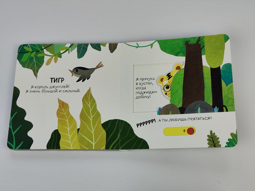 Смотрим, играем, запоминаем! В зоопарке