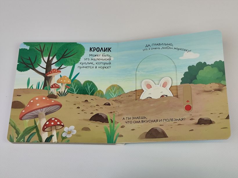 Смотрим, играем, запоминаем! На ферме