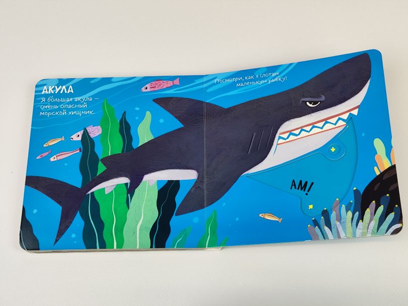 Смотрим, играем, запоминаем! В океане