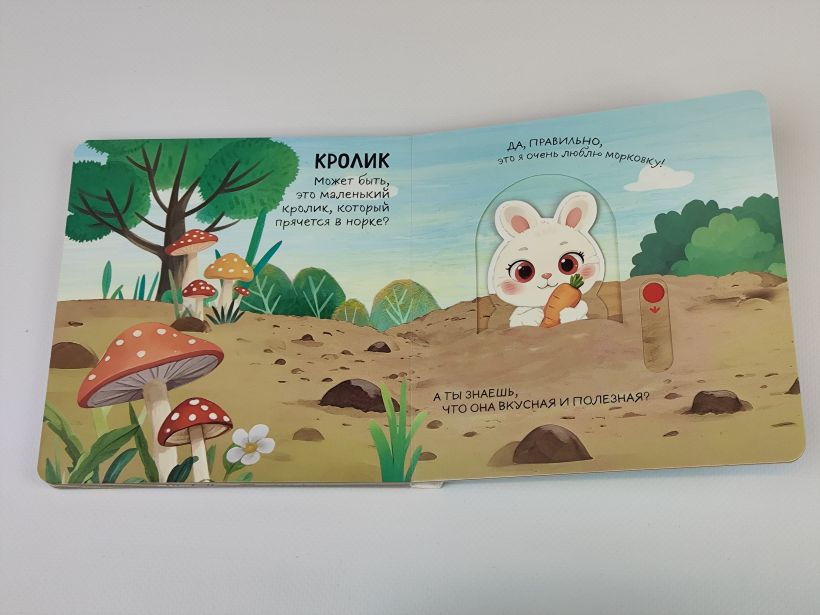 Смотрим, играем, запоминаем! На ферме