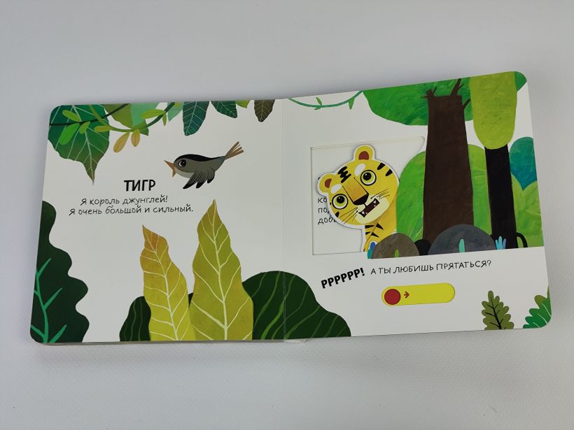 Смотрим, играем, запоминаем! В зоопарке