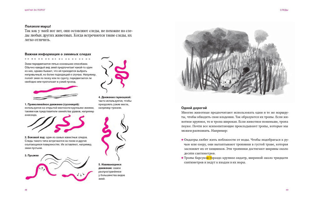 Шагни за порог. Путеводитель по природе