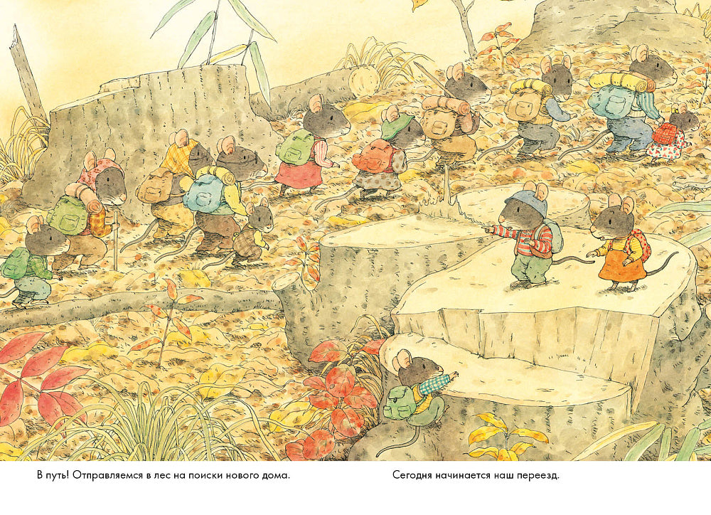 Переезд. 14 лесных мышей