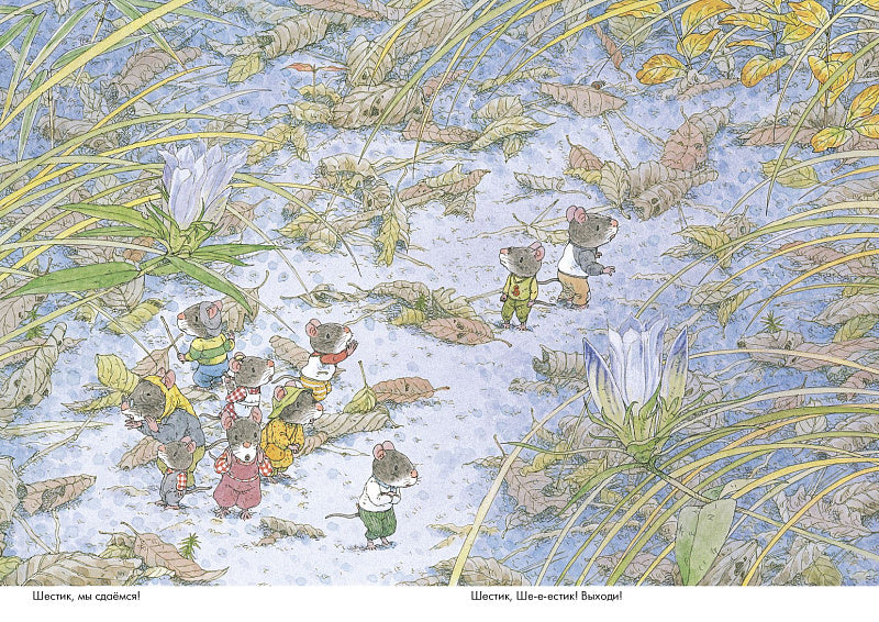 Парад грибов. 14 лесных мышей