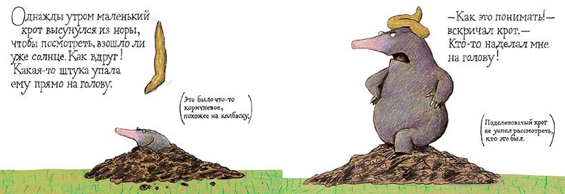 Маленький крот, который хотел знать, кто наделал ему на голову